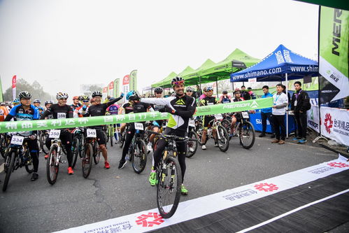 黃山腳下的較量 美利達(dá)杯國(guó)際自行車(chē)賽