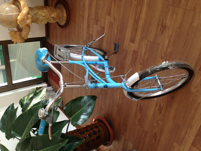 【天津市濮琪自行車】價(jià)格,廠家,圖片,自行車,天津市濮琪自行車-