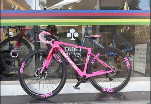 2025自行車行業(yè)報(bào)告 崔克是高檔次的品牌嗎閃電捷安特性價(jià)比